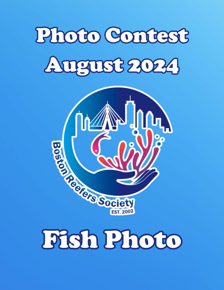 Photo Contest.jpg