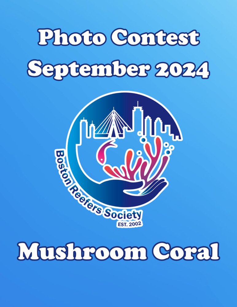 Photo Contest.jpg