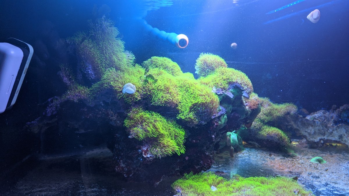 PXL_20201213_022030354 (1).jpg