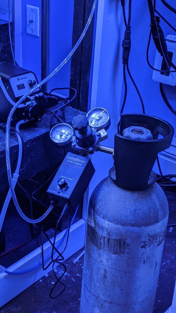 PXL_20210419_230836847.MP (1).jpg