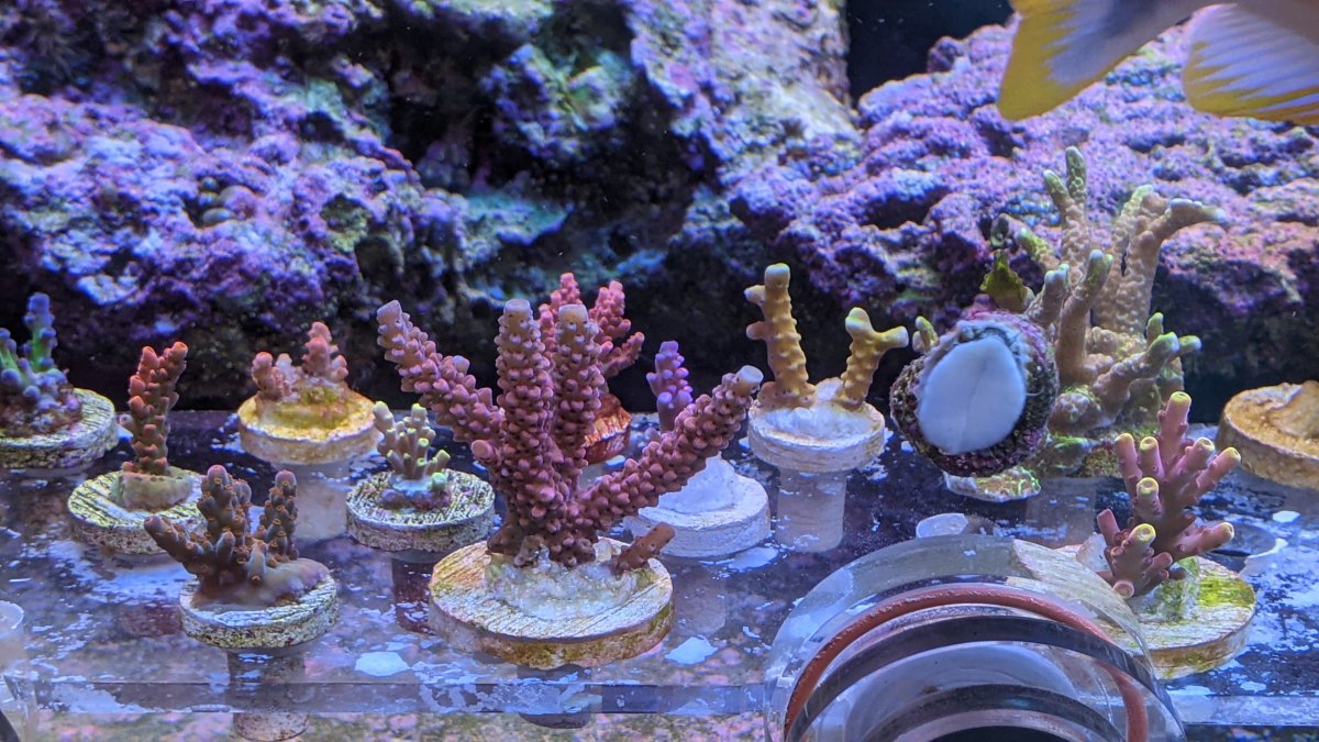 PXL_20210802_203114584 (2).jpg