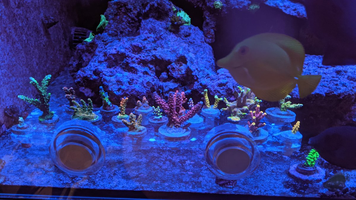 PXL_20210802_223734121 (1).jpg