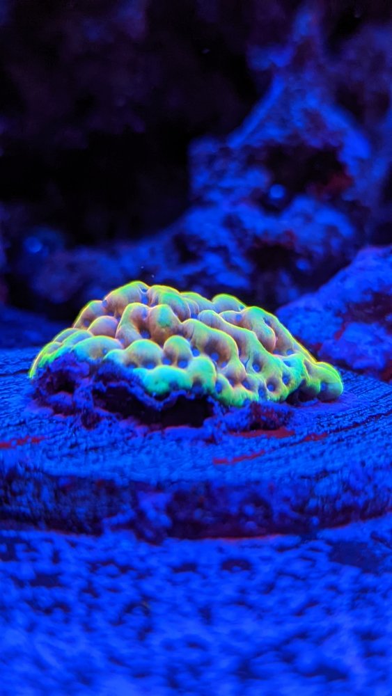 PXL_20211112_164749218.MP (1).jpg