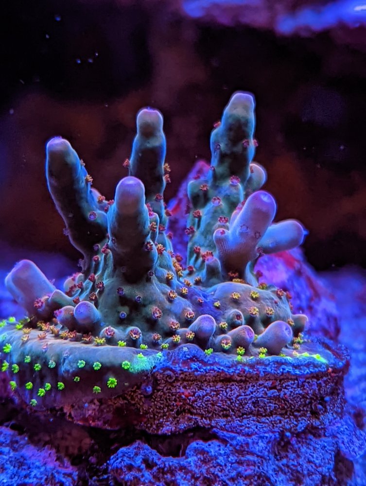 PXL_20211112_172118935.MP (1).jpg