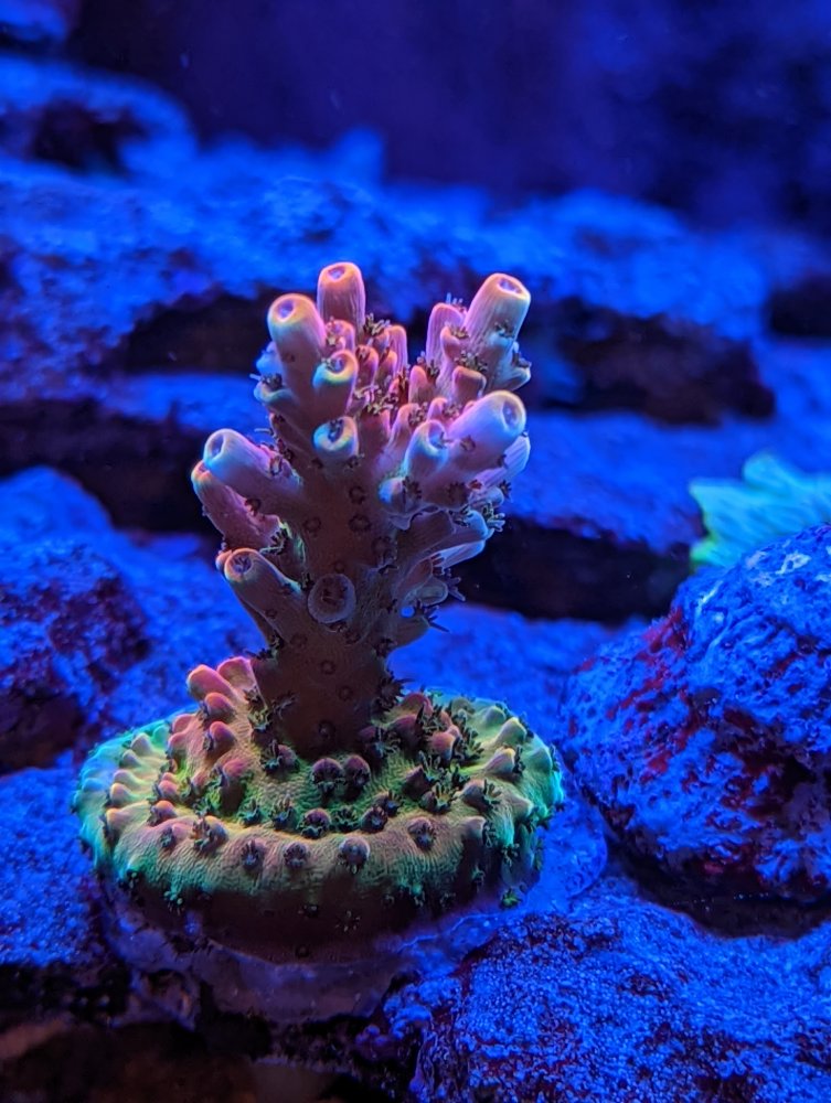 PXL_20211112_172158177.MP (2).jpg