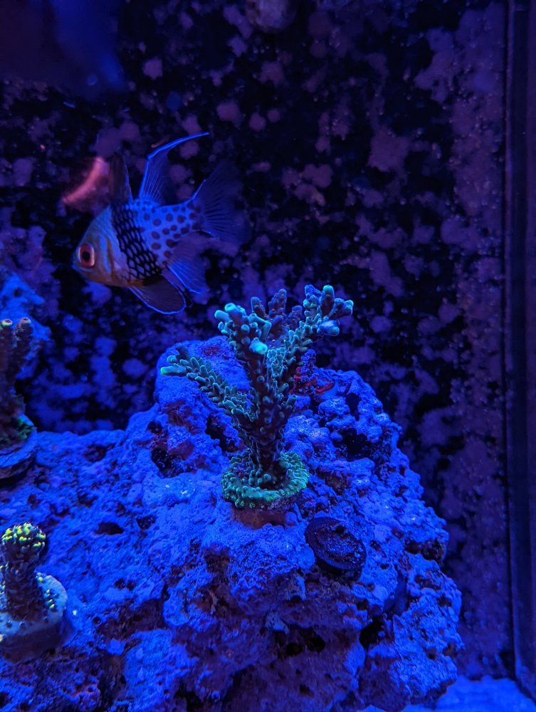 PXL_20211112_172408965.MP (1).jpg