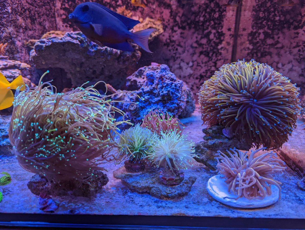 PXL_20220307_194941835.MP (1).jpg