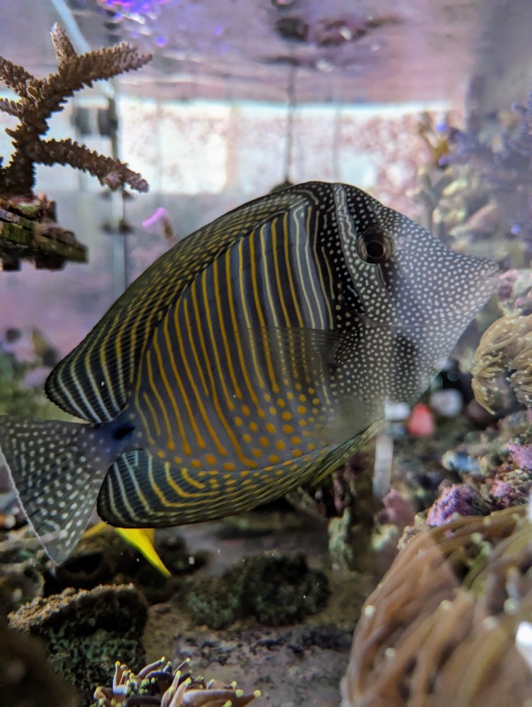 PXL_20221220_140200327.MP (1).jpg