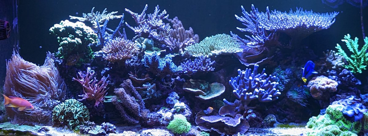 PXL_20221222_211146287 (1).jpg