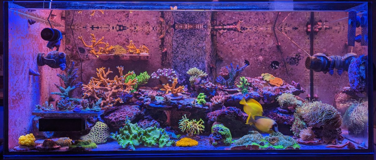 PXL_20221231_182245573 (1).jpg