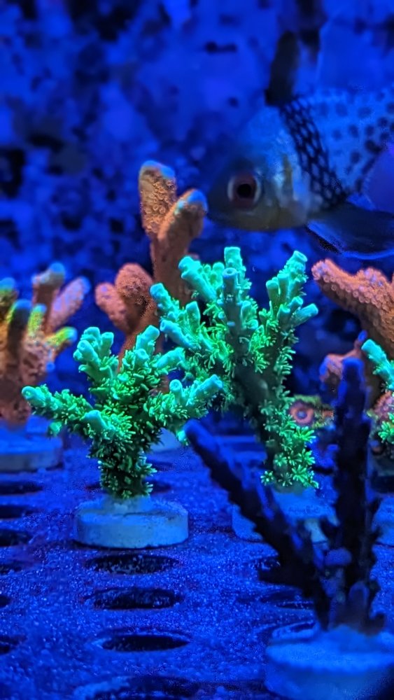 PXL_20230421_234137323.PORTRAIT (1).jpg