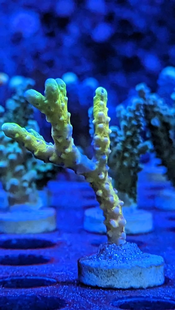 PXL_20230422_001811702 (1).jpg