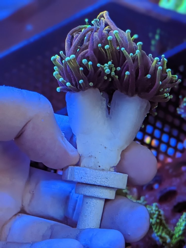 PXL_20230503_222843799.PORTRAIT (1).jpg