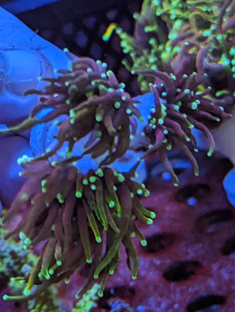 PXL_20230503_222958766 (1).jpg