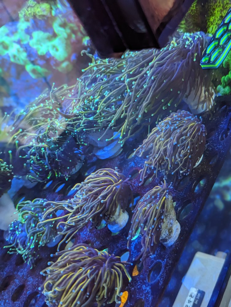 PXL_20230503_224919970.PORTRAIT (1).jpg