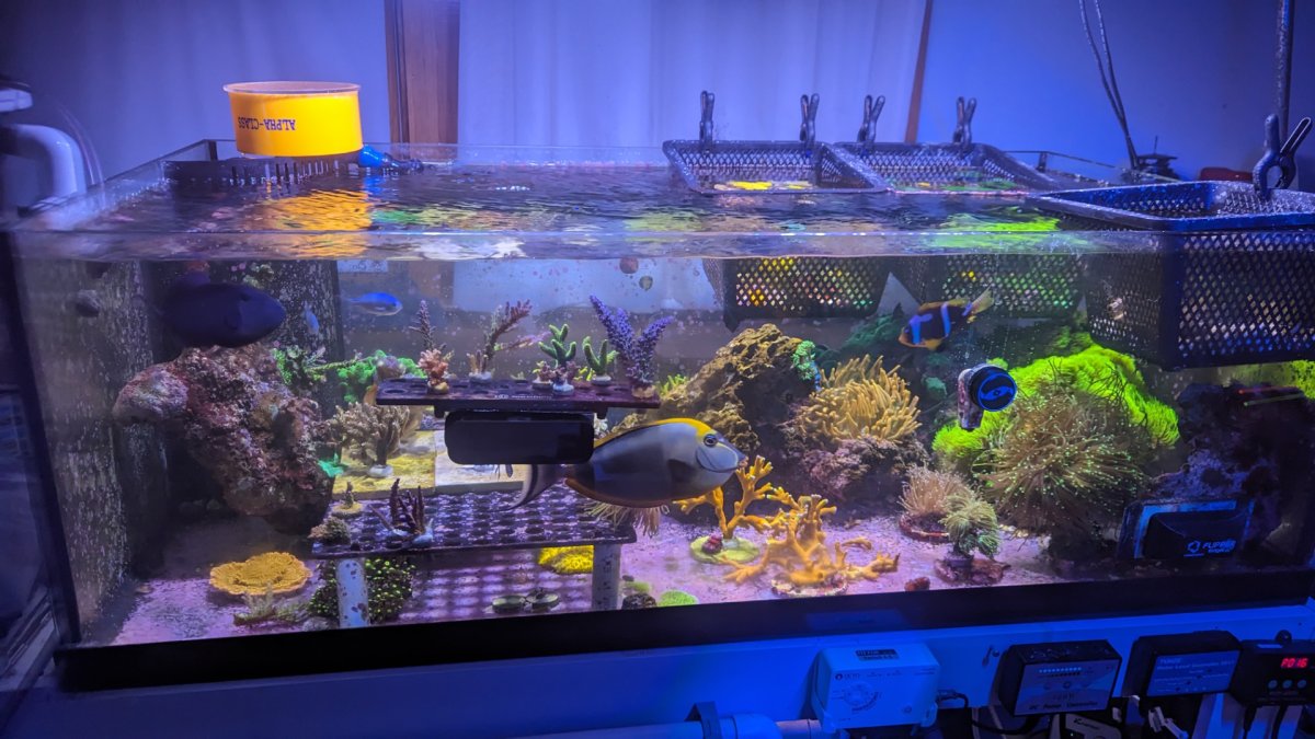 PXL_20230813_005411286.MP (1).jpg