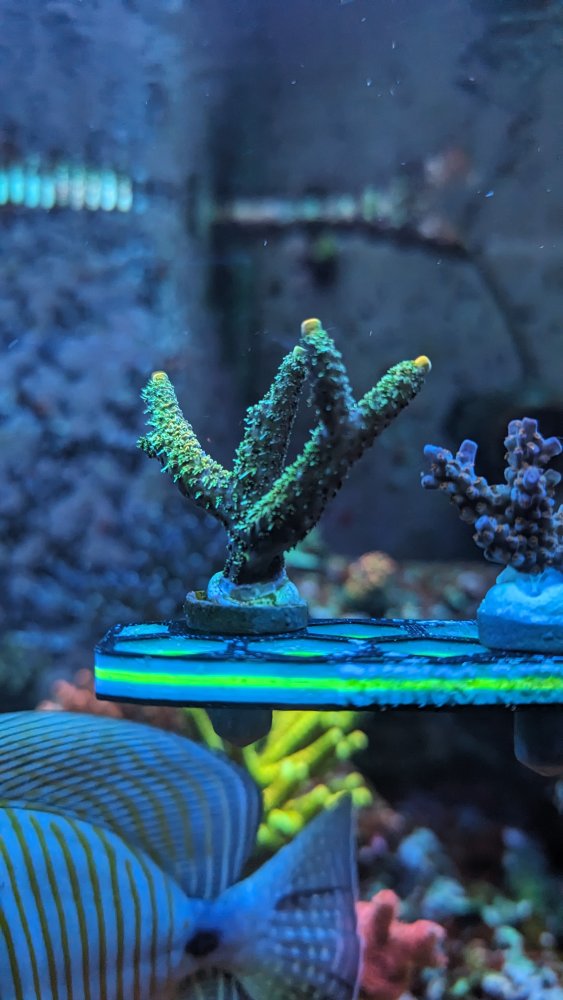 PXL_20230904_160613660.MP (1).jpg