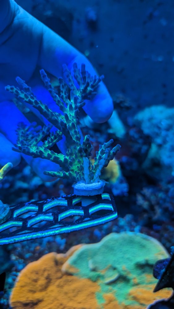 PXL_20230904_160625174.MP (1).jpg