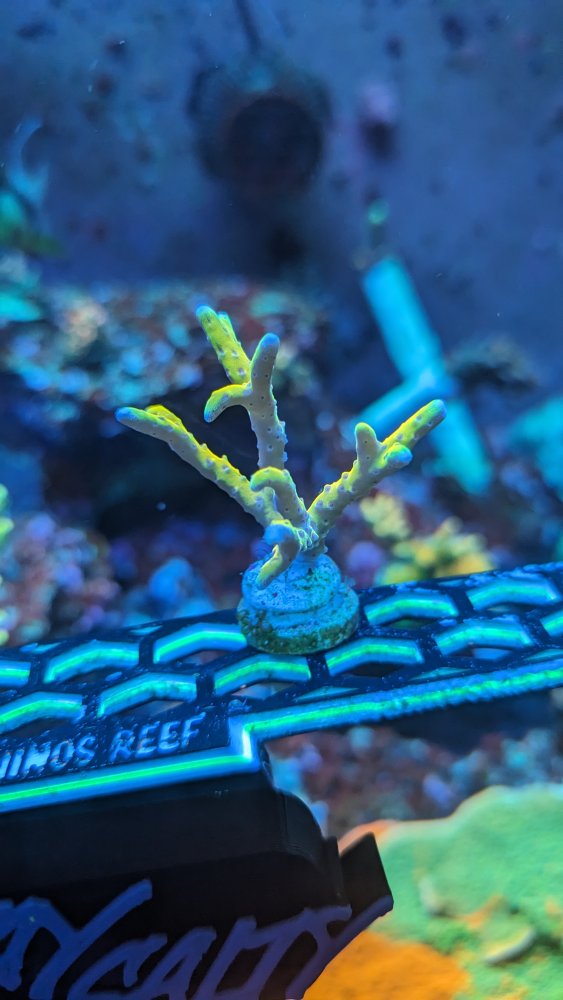 PXL_20230904_160641255.MP (1).jpg