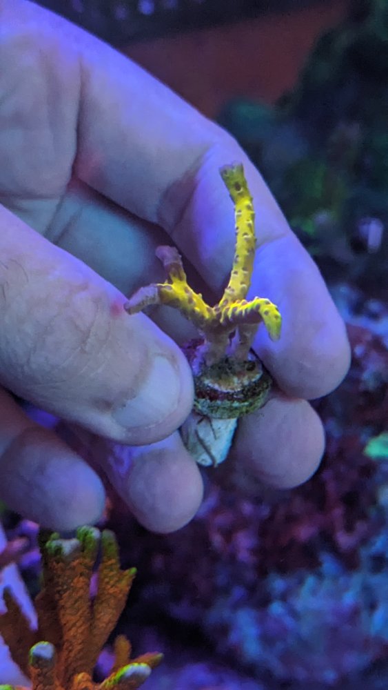 PXL_20230904_160816066.MP (1).jpg