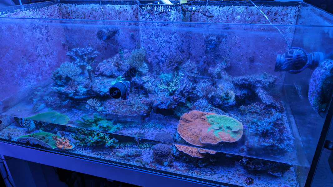 PXL_20231027_205949660 (1).jpg