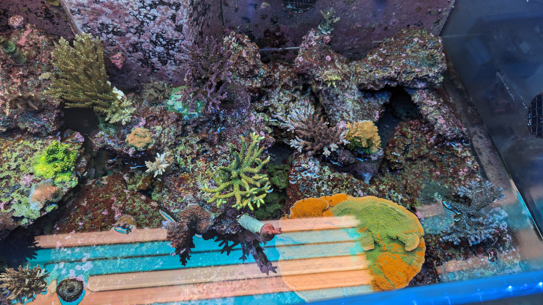 PXL_20231027_210130256 (1).jpg