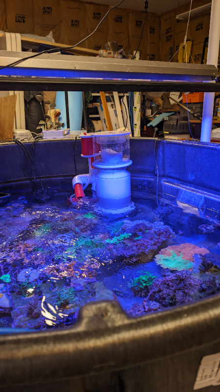 PXL_20231030_161805673 (1).jpg