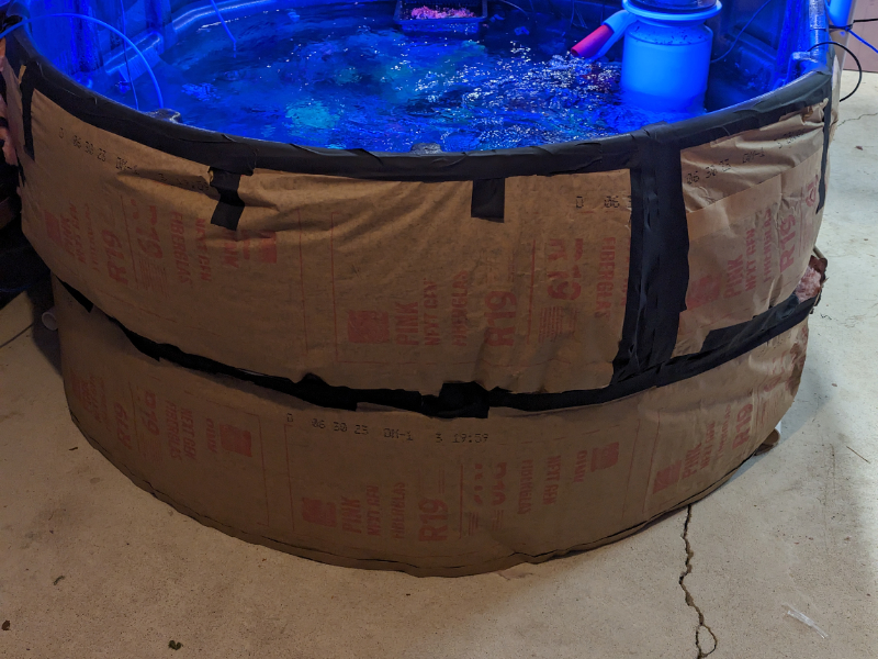 PXL_20231101_163702102 (1).jpg