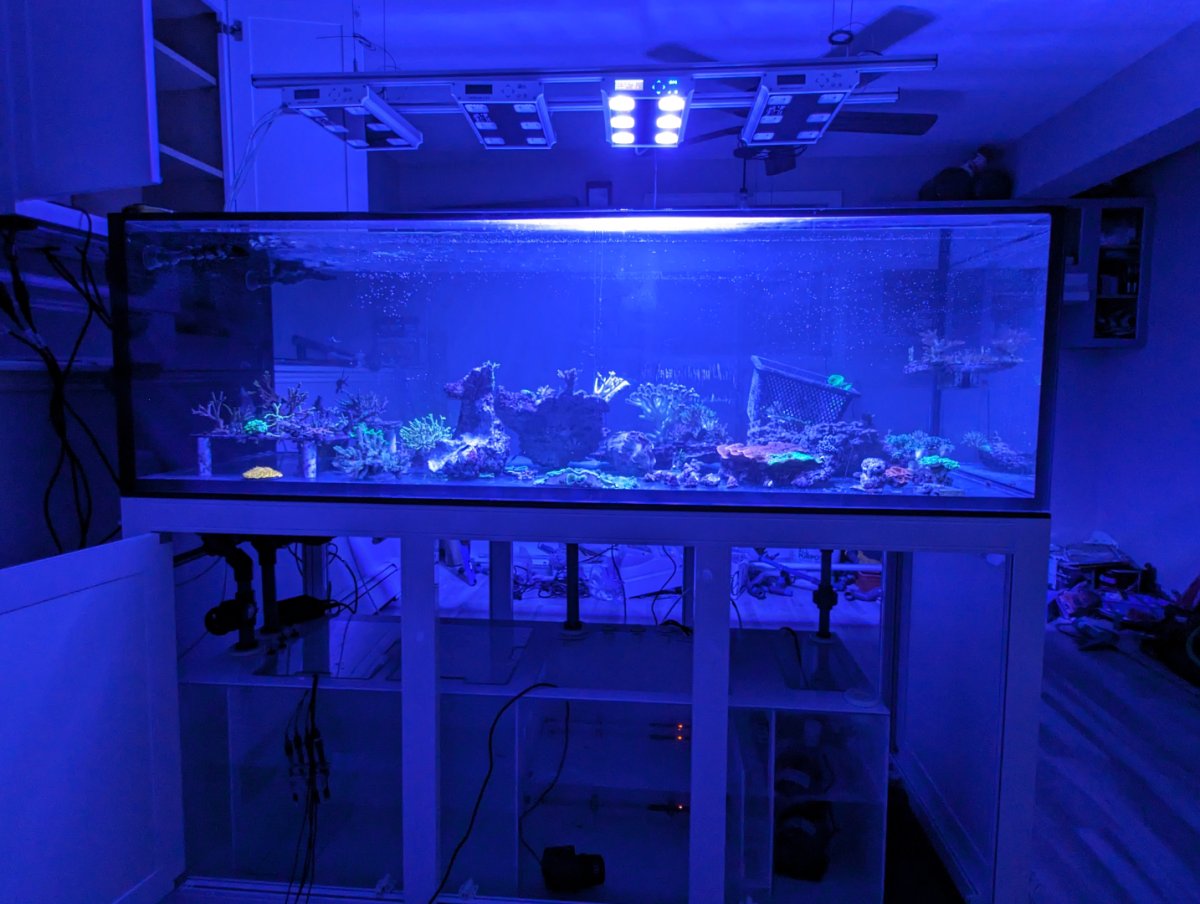 PXL_20240117_075942226 (1).jpg