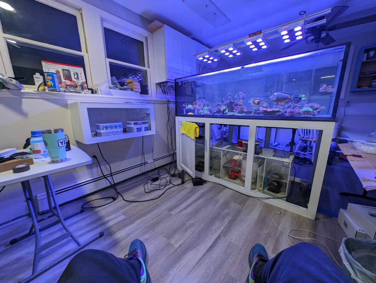 PXL_20240123_230854986.MP (1).jpg