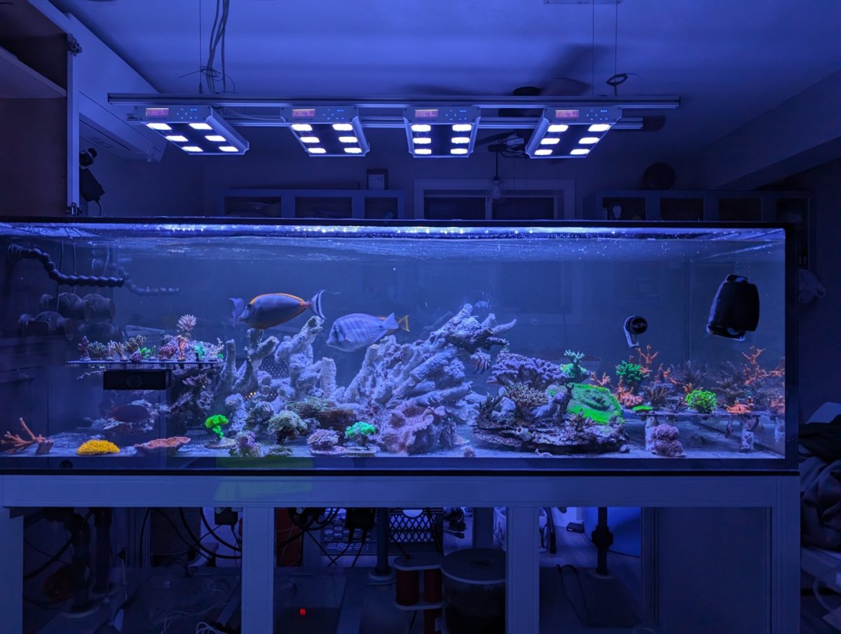 PXL_20240307_003657989.MP (1).jpg