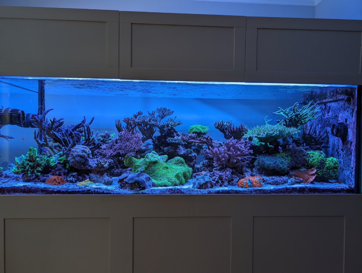 PXL_20240405_144600636.MP (1).jpg