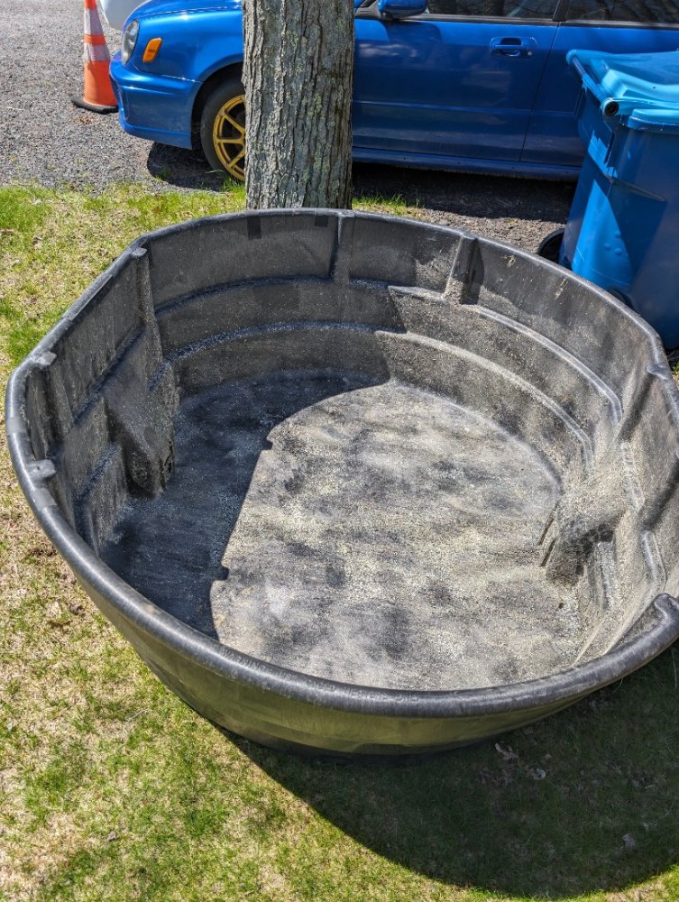 PXL_20240423_171537069.RAW-01.COVER (1).jpg