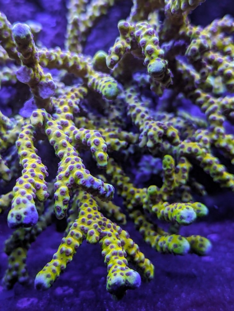 PXL_20240522_024425514.RAW-01.COVER (1) (1).jpg