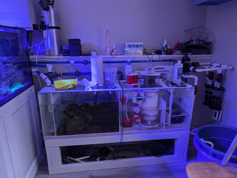 PXL_20240619_161352760.RAW-01.COVER (1).jpg