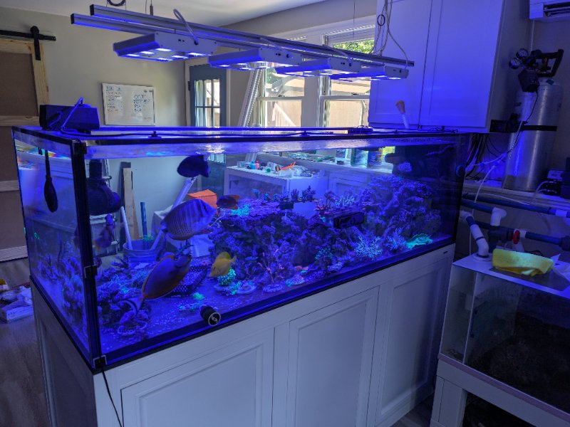 PXL_20240619_161357522.RAW-01.COVER (1).jpg