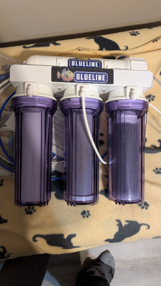 PXL_20250115_010724438.RAW-01.COVER (1).jpg