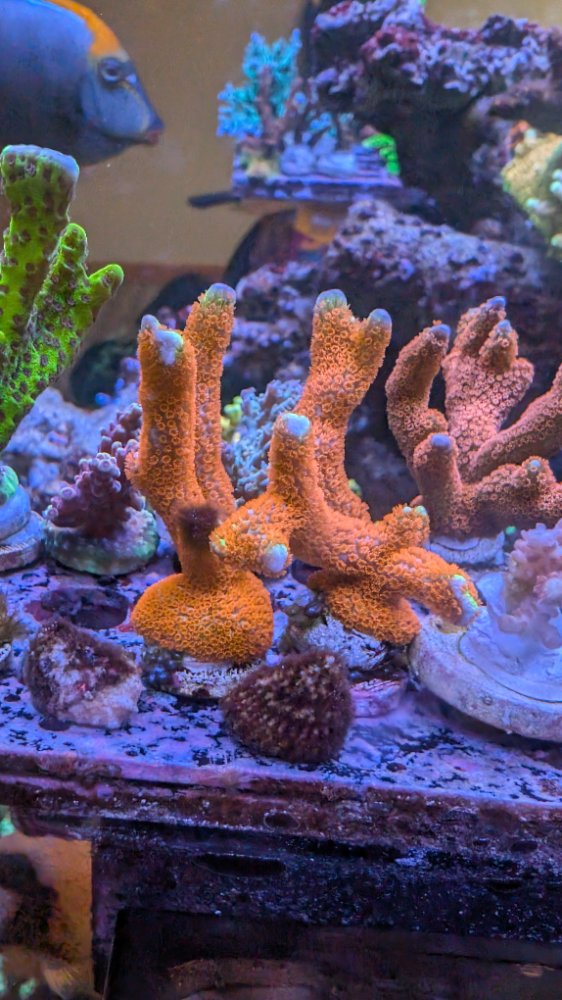 PXL_20250802_164905022.RAW-01.COVER (1).jpg