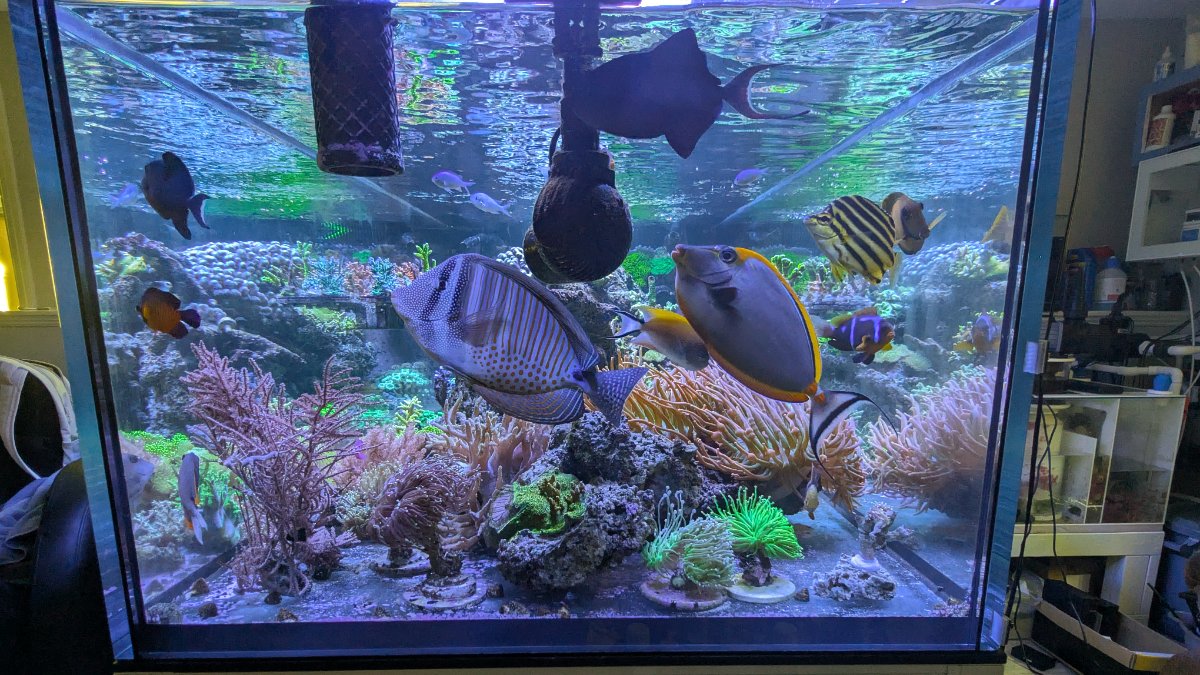 PXL_20250802_191838526.RAW-01.COVER (1).jpg