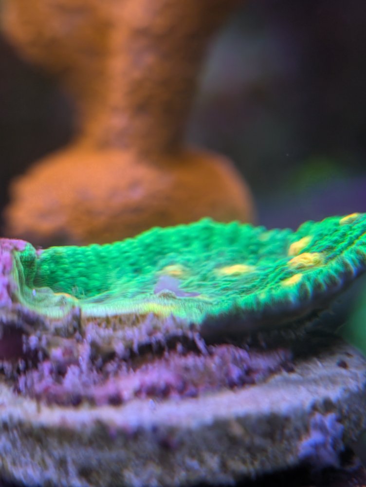 PXL_20251202_015105170.RAW-01.COVER (1).jpg