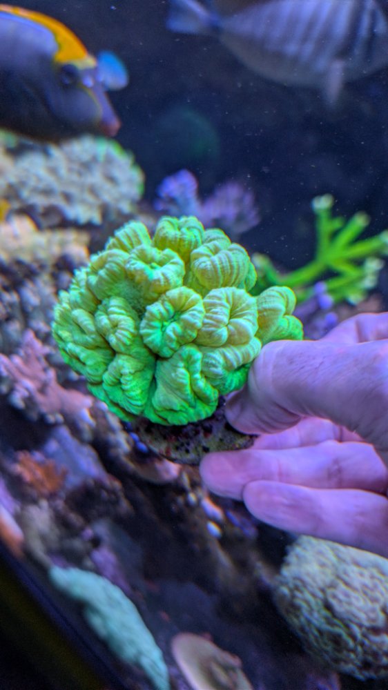 PXL_20260110_230938700.RAW-01.COVER (1).jpg