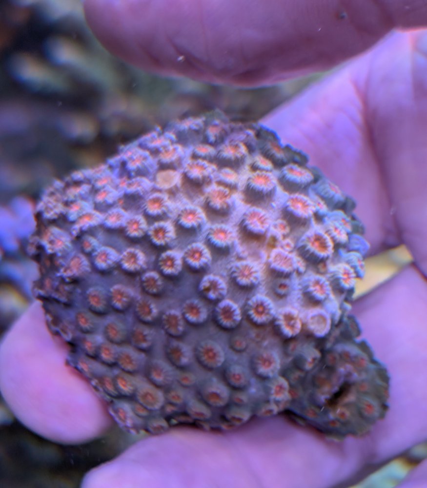 PXL_20260110_231222995.RAW-01.COVER (1).jpg