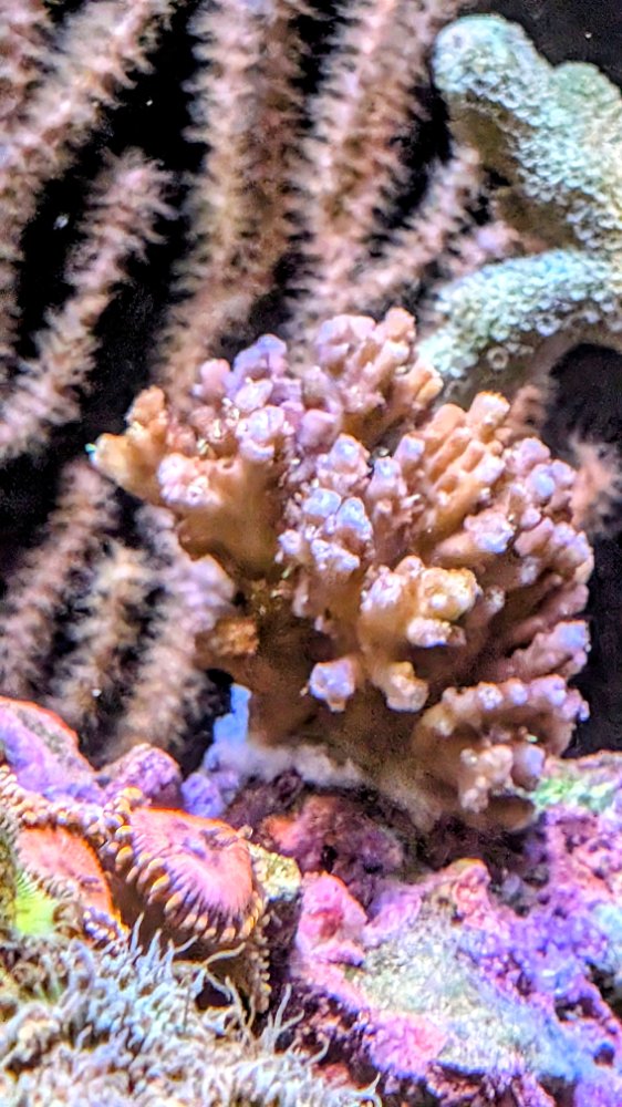 PXL_20260601_231659877~2.jpg