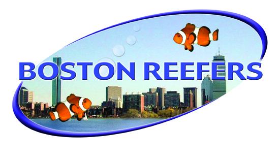 reeflogowithskylinelo-res.jpg