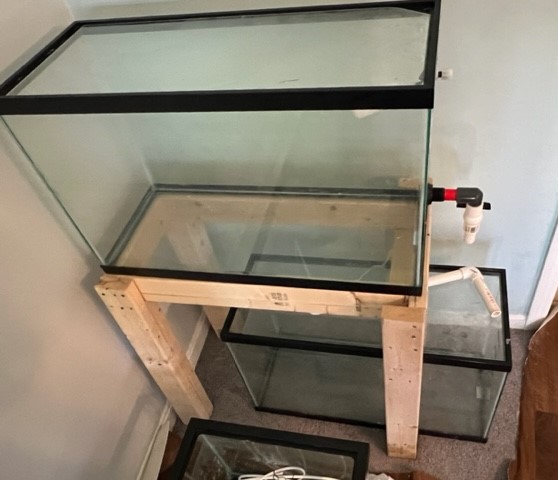 RI RODO.front newjpg.jpg