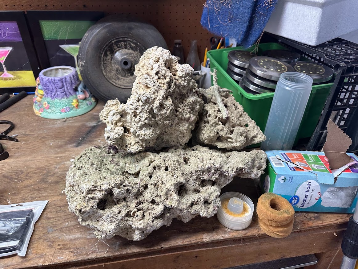 rock1.jpg