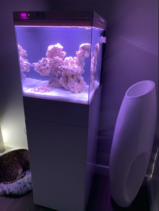 Screen Shot 2019-10-01 at 6.24.14 PM.png