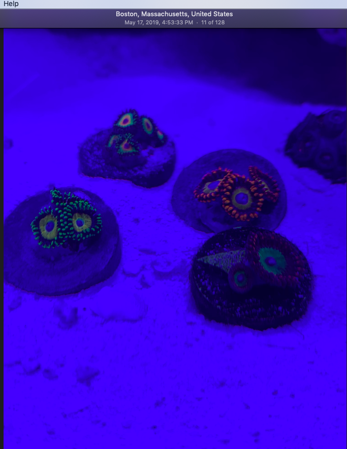 Screen Shot 2019-10-01 at 6.29.59 PM.png