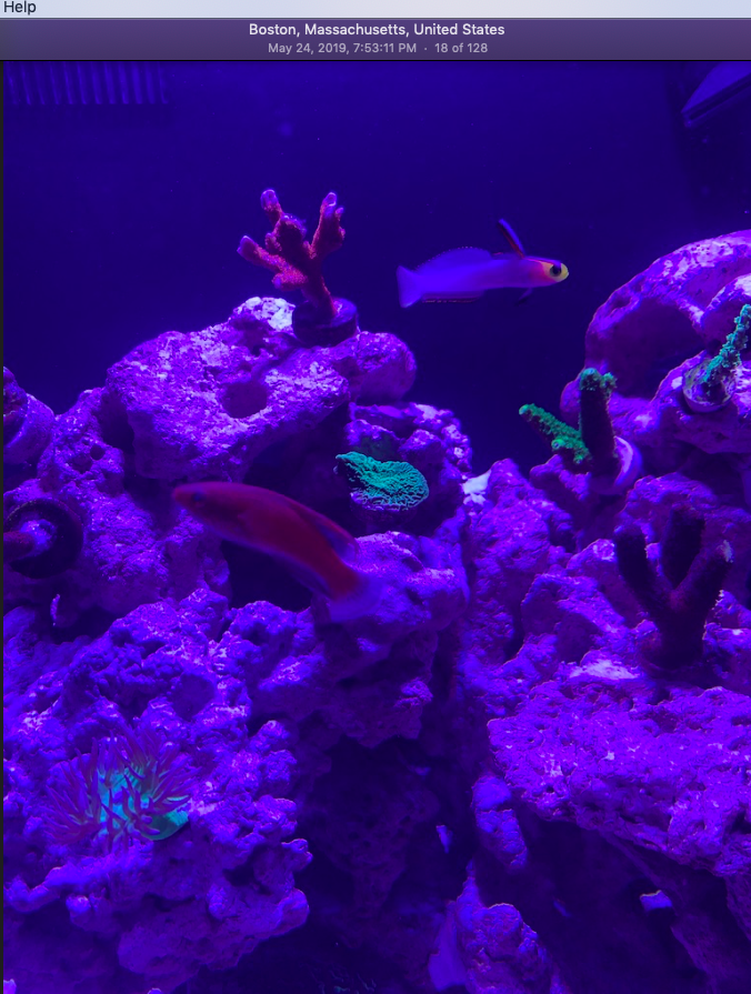 Screen Shot 2019-10-01 at 6.32.56 PM.png