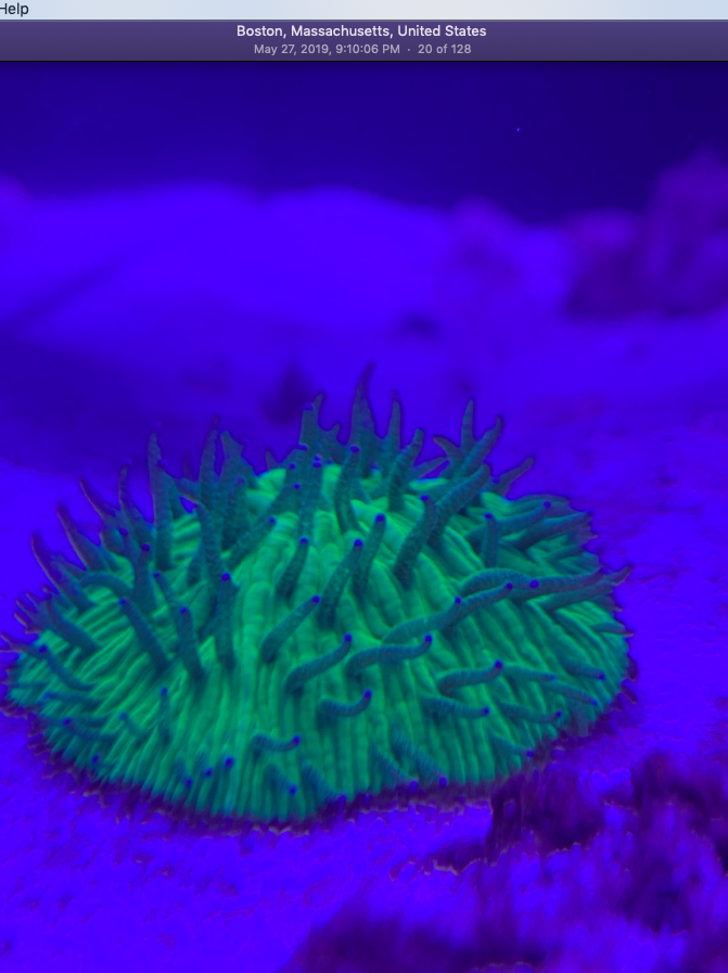 Screen Shot 2019-10-01 at 6.33.10 PM.png